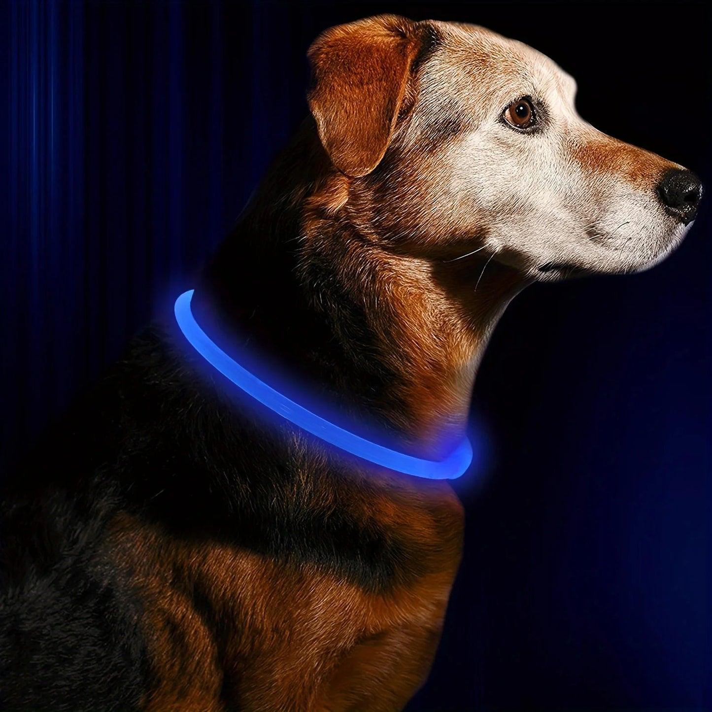 Anti-Lost LED light Dog Collar. - Maison Novaire