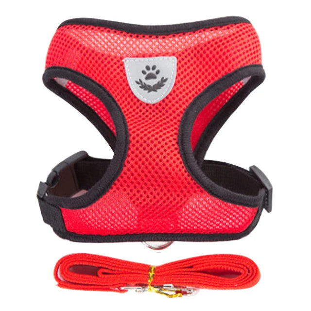 Harness for Small Dogs & Cats. - Maison Novaire #