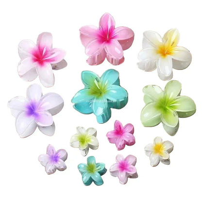 3Pc Sweet Colorful Plumeria Flower Shark CHair Clip - BLAKESTORE-NG