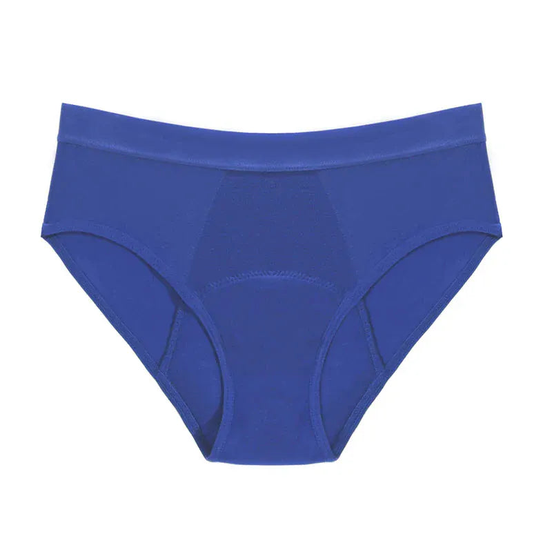4-Layer Leakproof Menstrual Period Panties. - BLAKESTORE-NG
