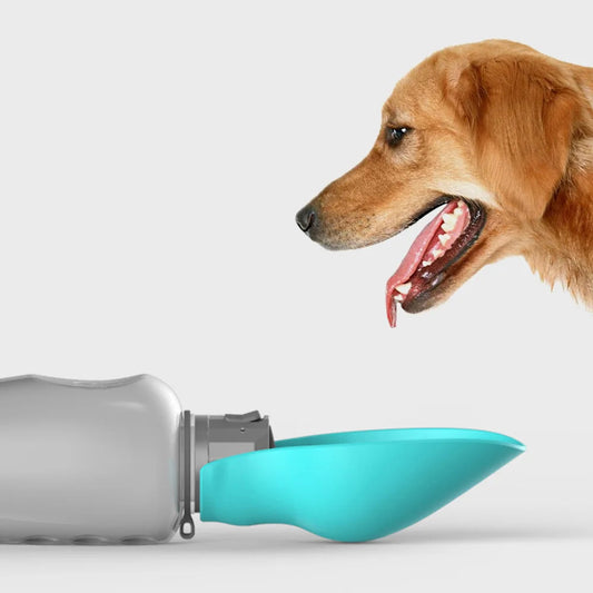 800ml Portable Dog Water Bottle with Foldable Bowl  - Pink - Maison Novaire