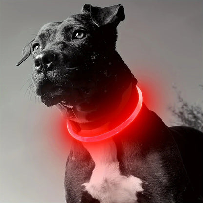 Anti-Lost LED light Dog Collar. - Maison Novaire