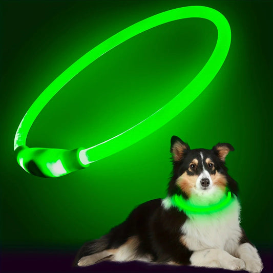 Anti-Lost LED light Dog Collar. - Maison Novaire