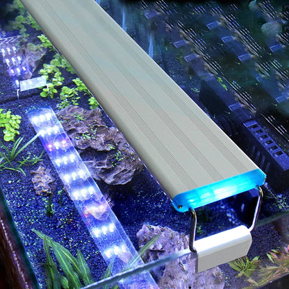 Aquarium LED Light. - Maison Novaire