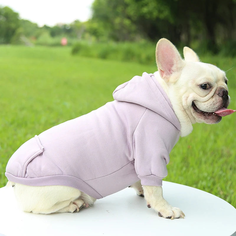 Autumn And Winter Dog Clothing. - Maison Novaire