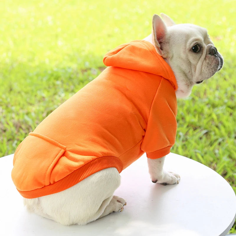 Autumn And Winter Dog Clothing. - Maison Novaire