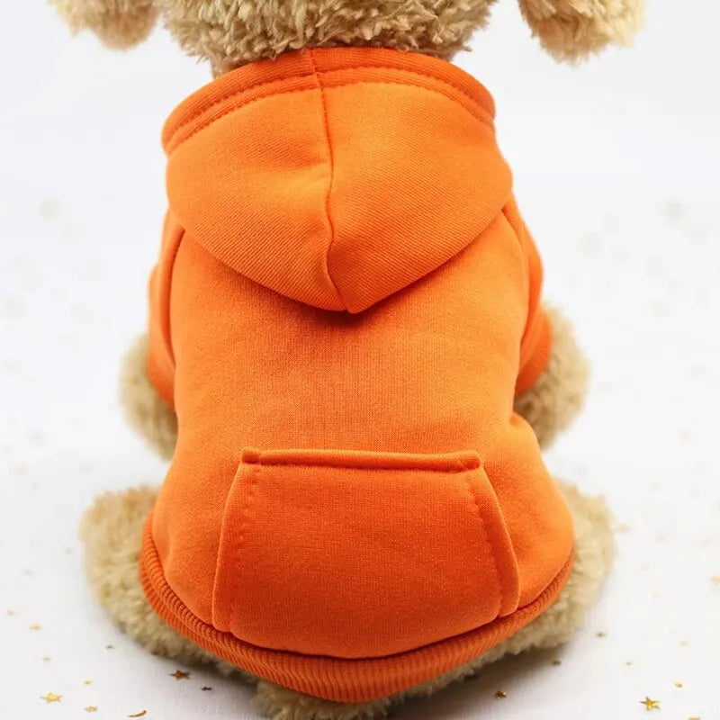 Autumn And Winter Dog Clothing. - Maison Novaire
