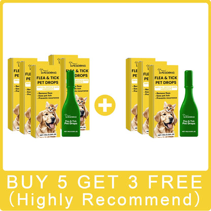 Cat Anti-Flea Drops – Flea, Tick & Lice Treatment - Maison Novaire