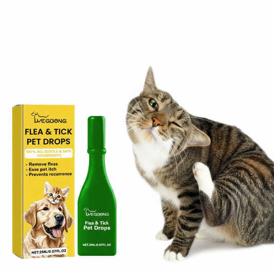 Cat Anti-Flea Drops – Flea, Tick & Lice Treatment - Maison Novaire