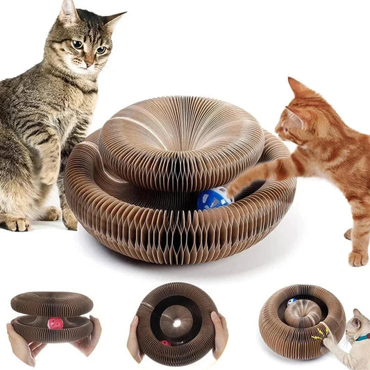 Cat Toy Scratcher. - Maison Novaire