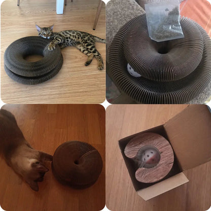 Cat Toy Scratcher. - Maison Novaire