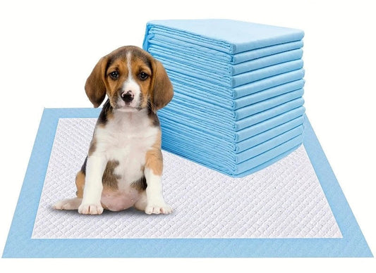 Disposable Dog & Cat Diaper. - Maison Novaire