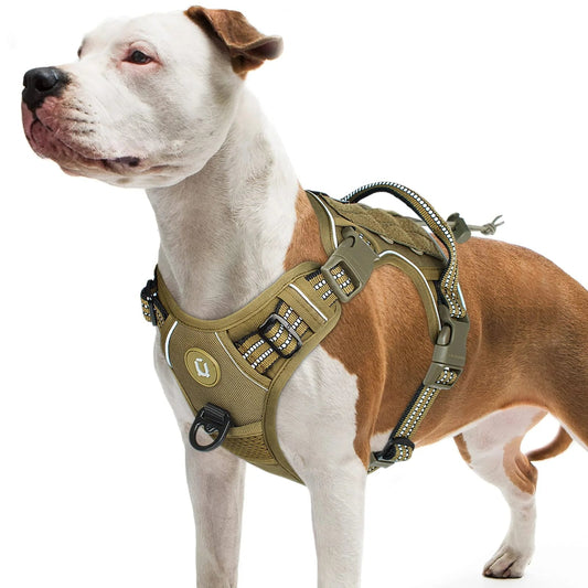 Dog Harness for Middle - Large Dog. - Maison Novaire