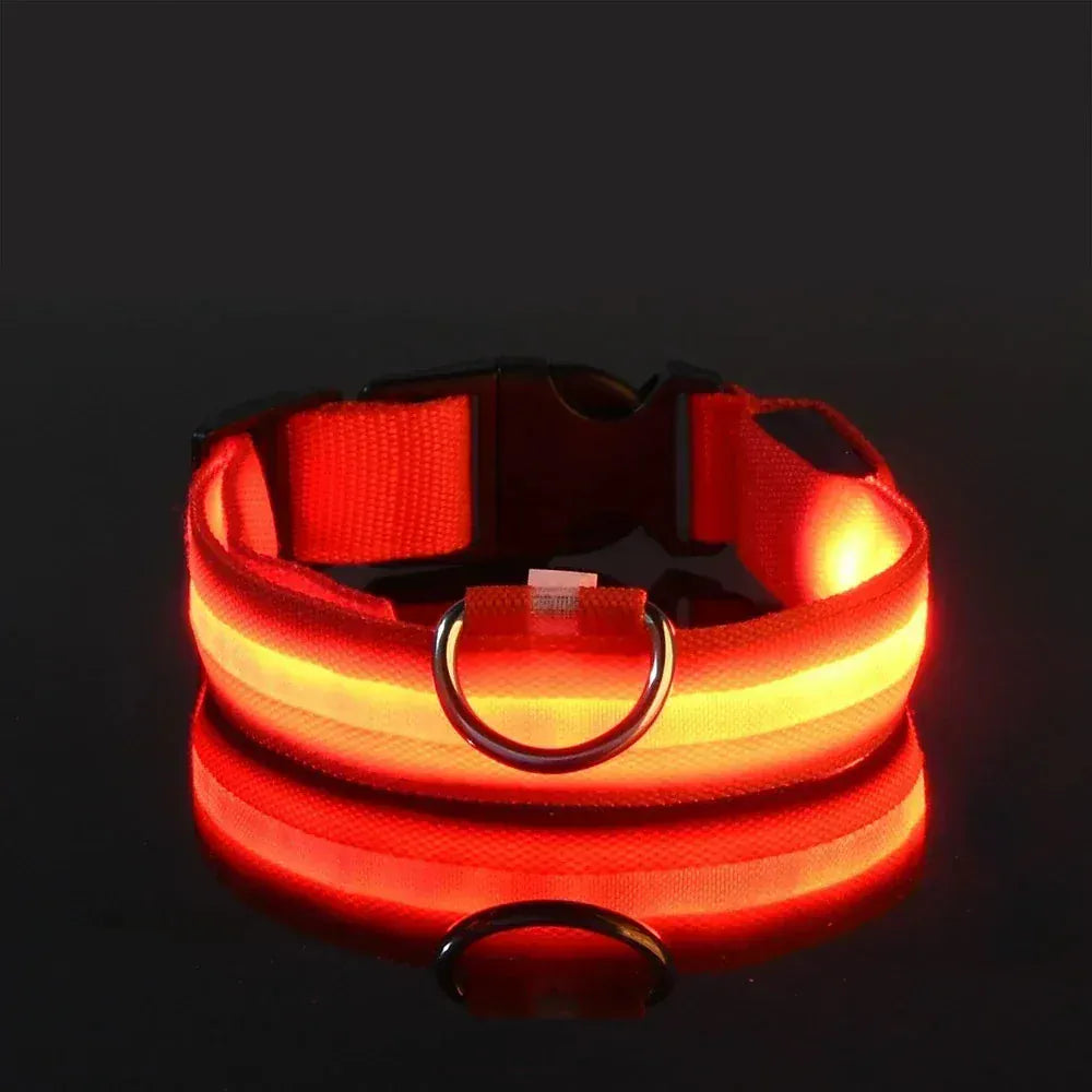 Dog LED Glow In The Dark collar. - Maison Novaire #