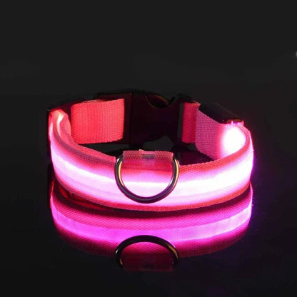 Dog LED Glow In The Dark collar. - Maison Novaire #