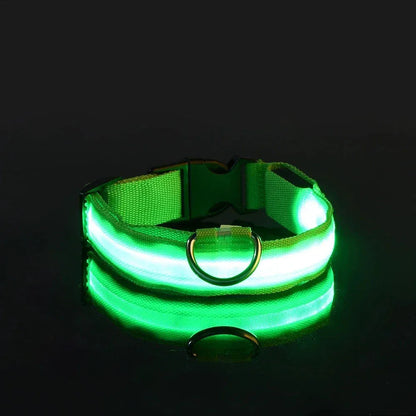 Dog LED Glow In The Dark collar. - Maison Novaire #