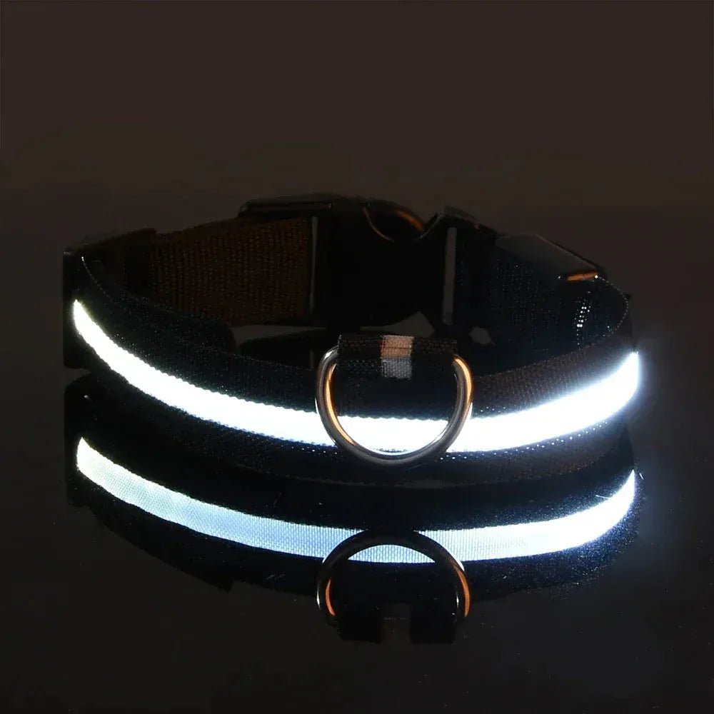 Dog LED Glow In The Dark collar. - Maison Novaire #