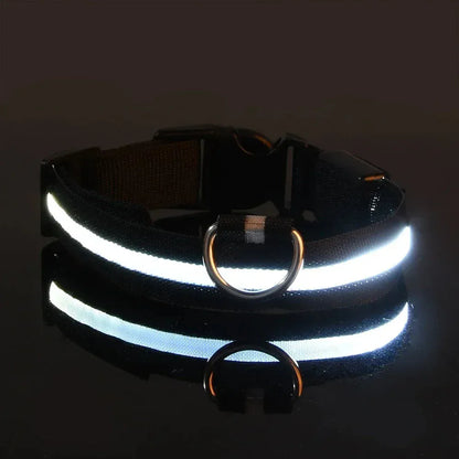 Dog LED Glow In The Dark collar. - Maison Novaire #