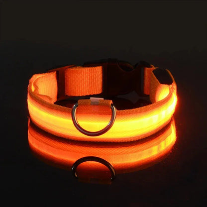 Dog LED Glow In The Dark collar. - Maison Novaire #