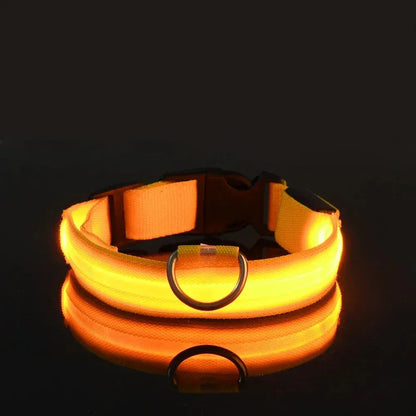 Dog LED Glow In The Dark collar. - Maison Novaire #