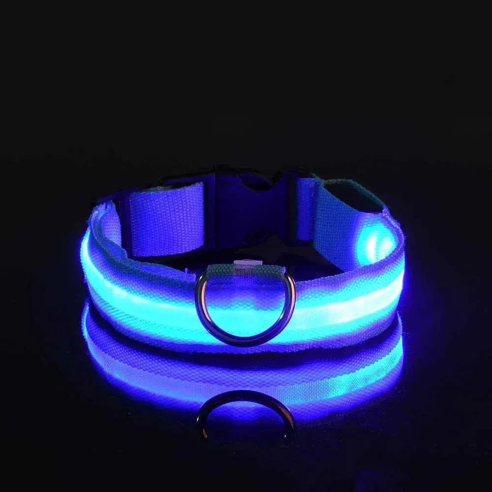 Dog LED Glow In The Dark collar. - Maison Novaire #