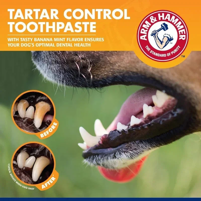 Dog Toothpaste -Reduces Plaque & Tartar Buildup. - Maison Novaire