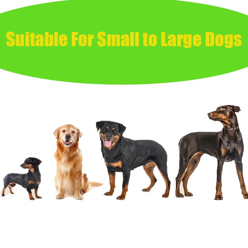 EPI Biodegradable Dog Poop Bags Lavender Scented. - Maison Novaire