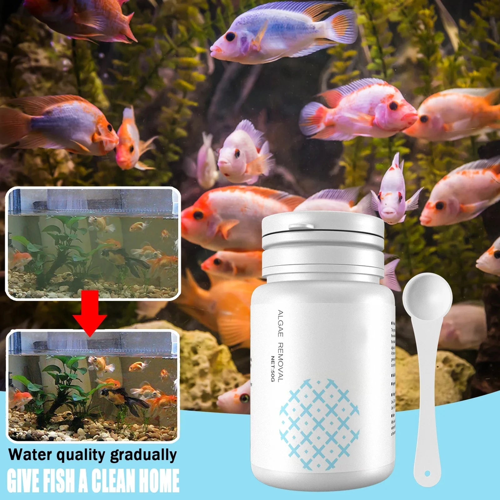 Fish Tank Cleaning Algae Tablets. - Maison Novaire
