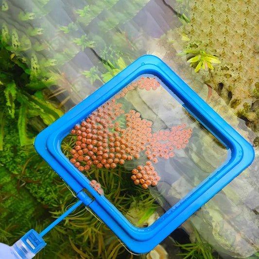 Floating Fish Food Feeder Ring. - Maison Novaire