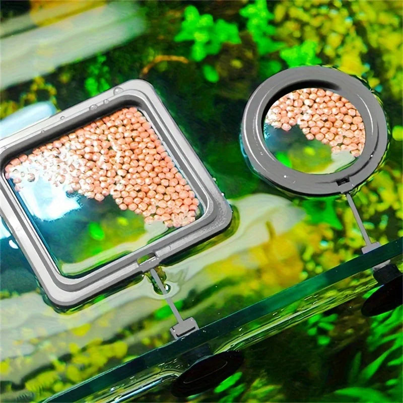 Floating Fish Food Feeder Ring. - Maison Novaire