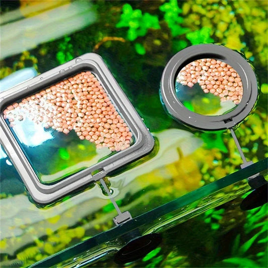 Floating Fish Food Feeder Ring. - Maison Novaire