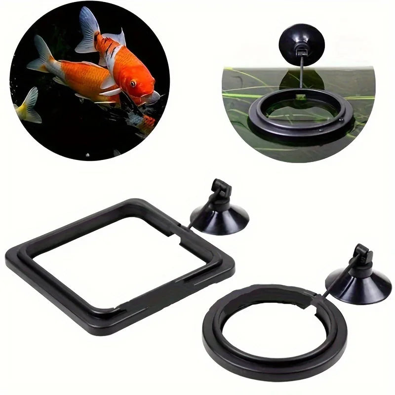 Floating Fish Food Feeder Ring. - Maison Novaire