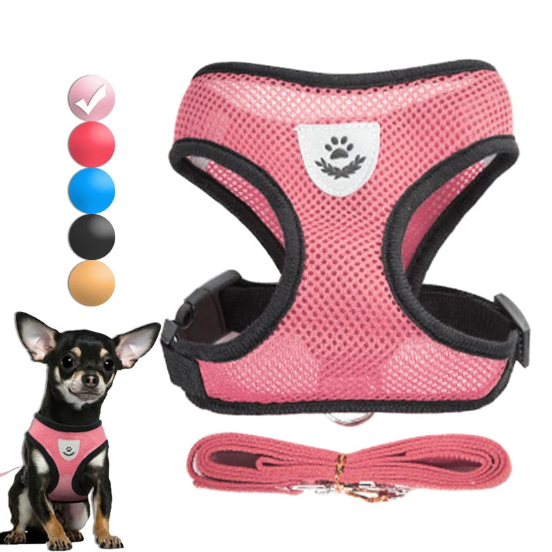 Harness for Small Dogs & Cats. - Maison Novaire #