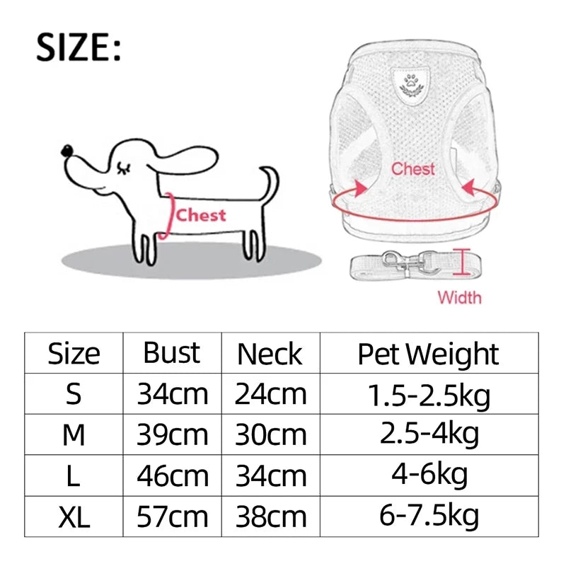 Harness for Small Dogs & Cats. - Maison Novaire #