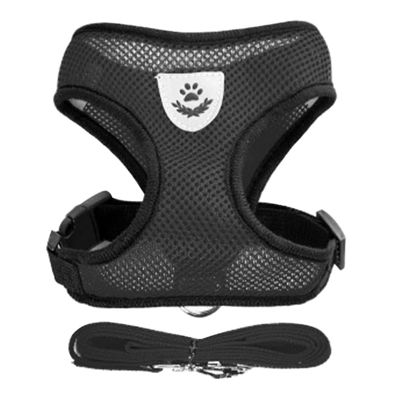 Harness for Small Dogs & Cats. - Maison Novaire #