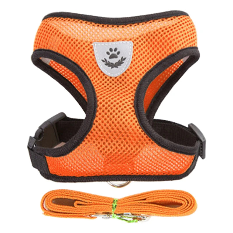 Harness for Small Dogs & Cats. - Maison Novaire #