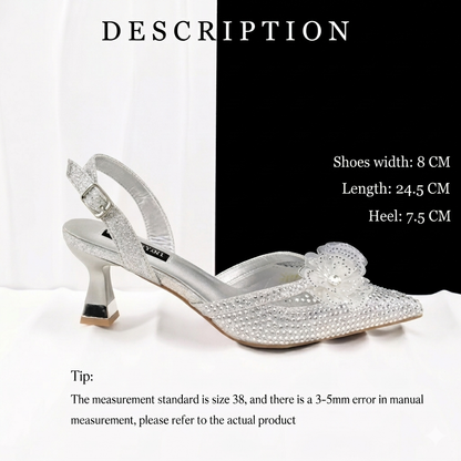 Maison Novaire African-Inspired Evening Shoe and Clutch Set A PAIR SHOES SILVER