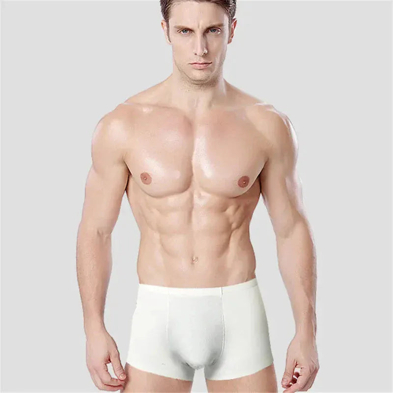 Ice Silk Boxers Men | Cool Touch Breathable Boxer Briefs Pack Moisture Wicking Anti-Odor All-Day Comfort - BLAKESTORE-NG