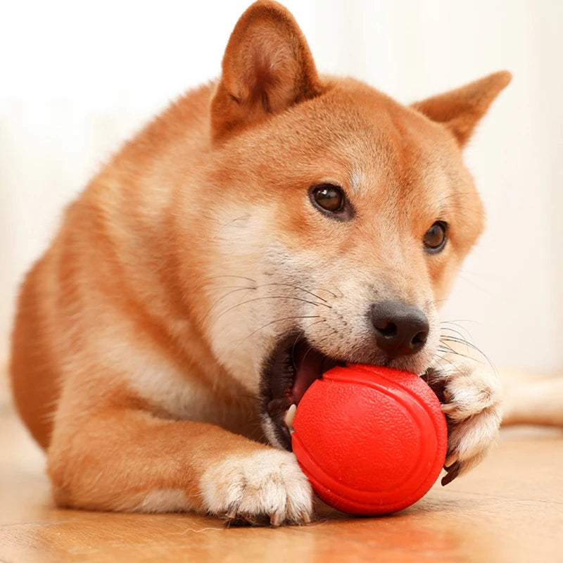 Indestructible Chew Proof Rubber Ball. - Maison Novaire #