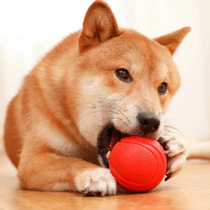 Indestructible Chew Proof Rubber Ball. - Maison Novaire #