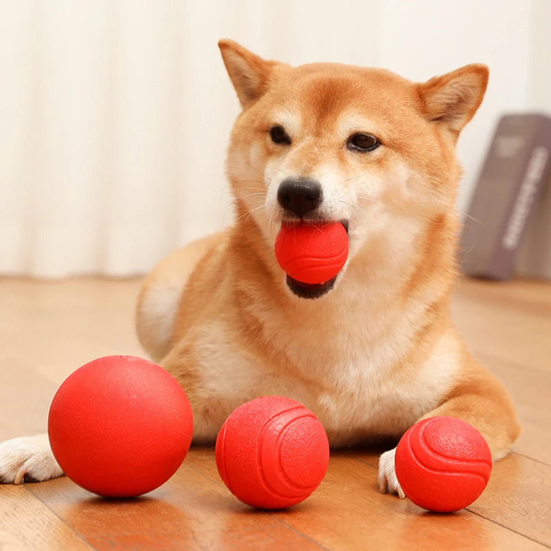 Indestructible Chew Proof Rubber Ball. - Maison Novaire #