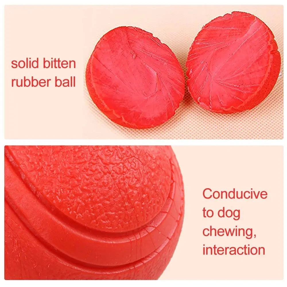 Indestructible Chew Proof Rubber Ball. - Maison Novaire #