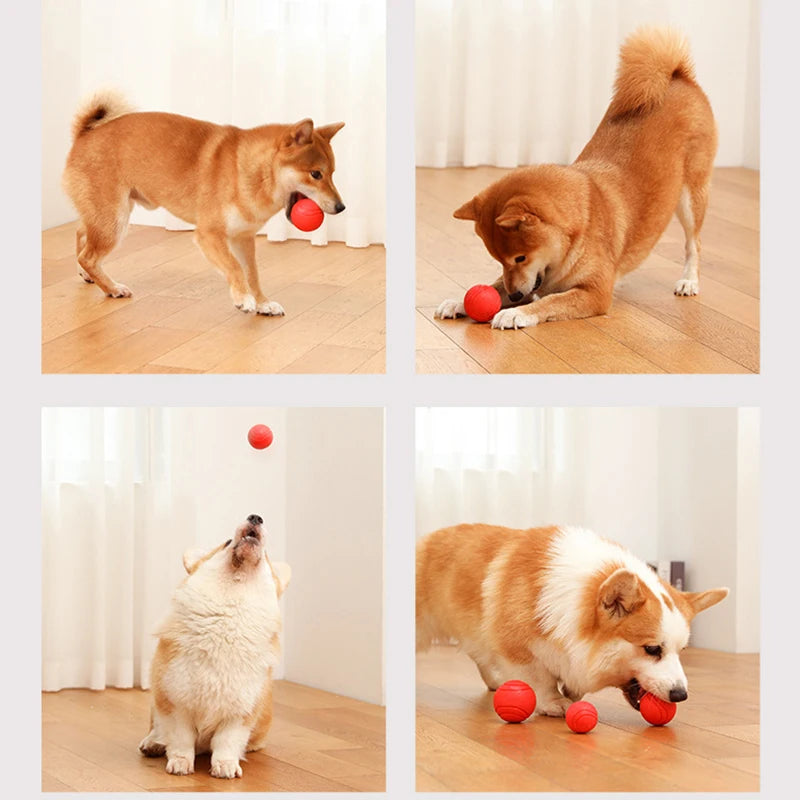 Indestructible Chew Proof Rubber Ball. - Maison Novaire #