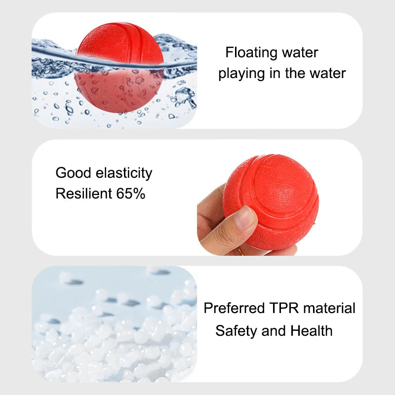 Indestructible Chew Proof Rubber Ball. - Maison Novaire #