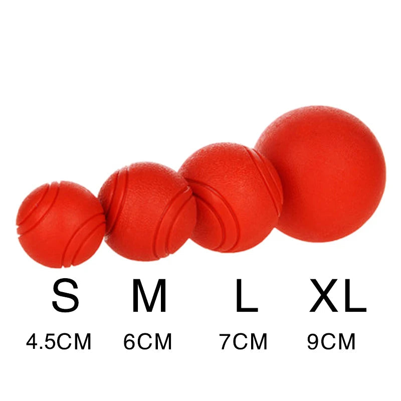 Indestructible Chew Proof Rubber Ball. - Maison Novaire #