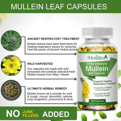Mullein Lung Cleanser-Asthma Health-Herbal Supplement. - Maison Novaire