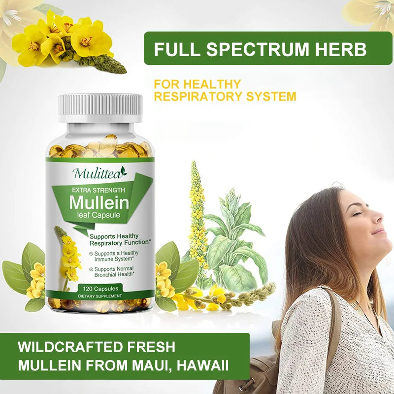 Mullein Lung Cleanser-Asthma Health-Herbal Supplement. - Maison Novaire