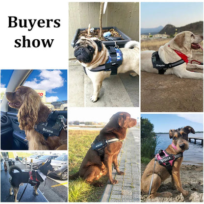 Personalized Dog Harness. - Maison Novaire #