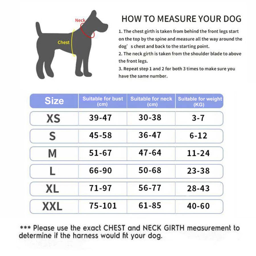 Personalized Dog Harness. - Maison Novaire #
