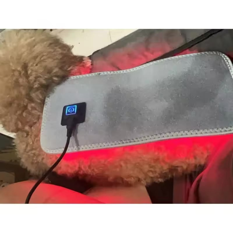 Pet Care Infrared Red Light Therapy Belt Wrap - Maison Novaire